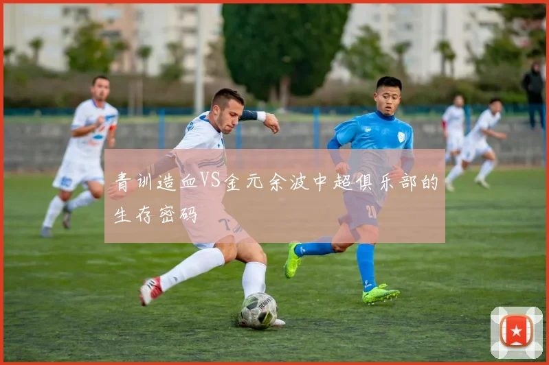 青训造血VS金元余波中超俱乐部的生存密码