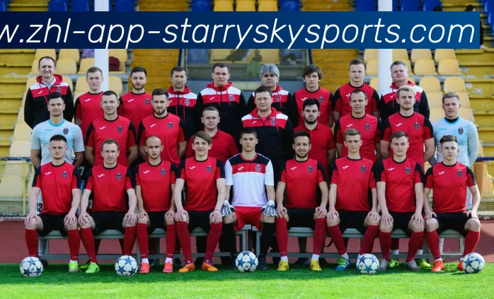 星空体育平台生态图