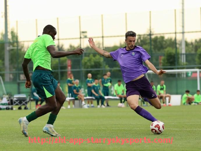 星空体育app-法甲里昂本赛季的助攻次数及关键球员数据